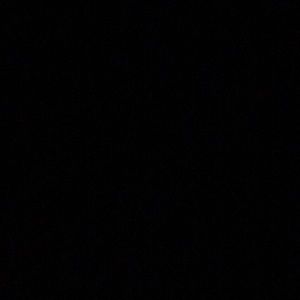 Meet your Posher, Teddy